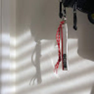 Meet your Posher, Maxwell